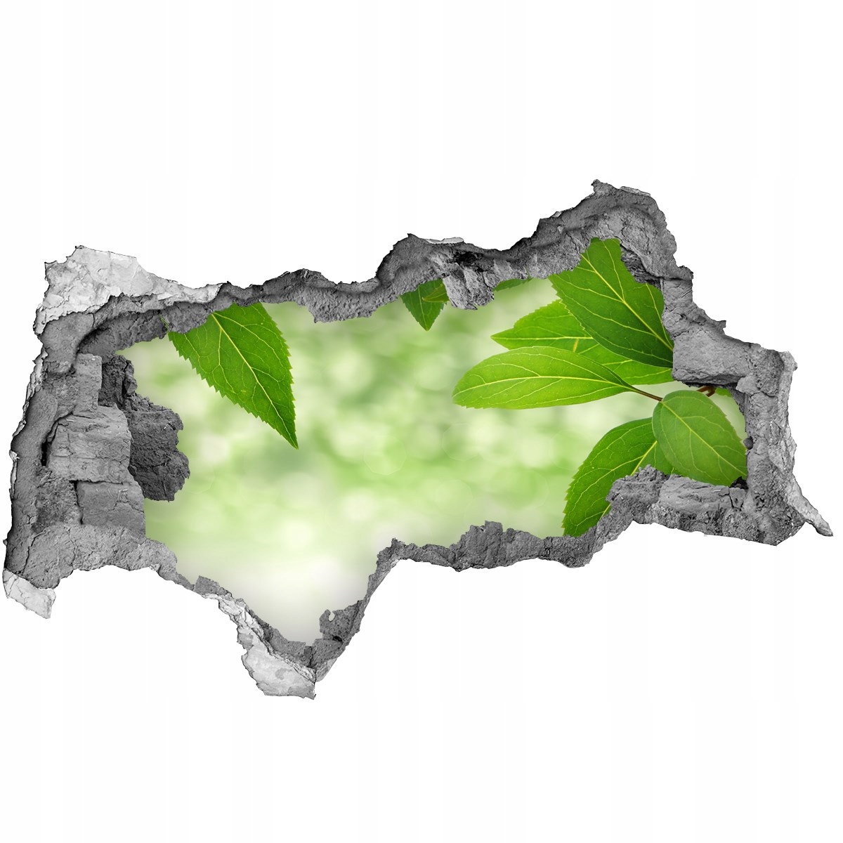 

Samoprzylepna dziura Naklejka Zielone liście 95x73