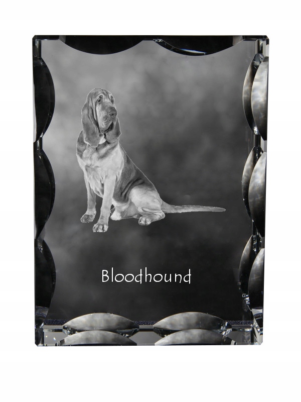 Bloodhound fotografia psa v ozdobnom kryštáli, suvenír, dekorácia domu