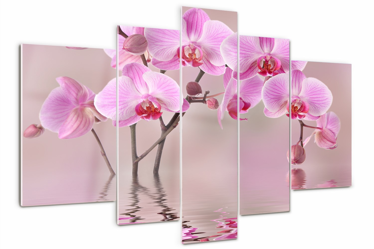

Foto Obraz szklany duży tryptyk Różowa orchidea