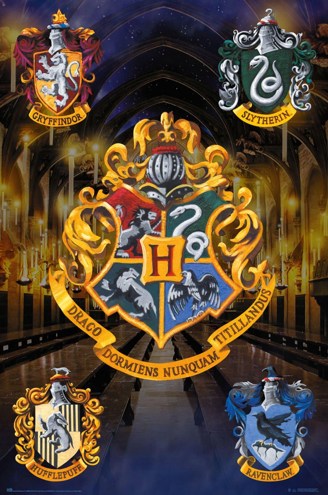 

Plakat na ścianę Harry Potter Hogwarts 61x91,5 cm