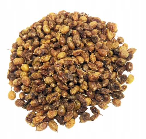 

Owoc Rokitnika 500G Cały 100% Naturalny Sklep