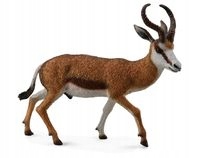 

Kozioł Springbok