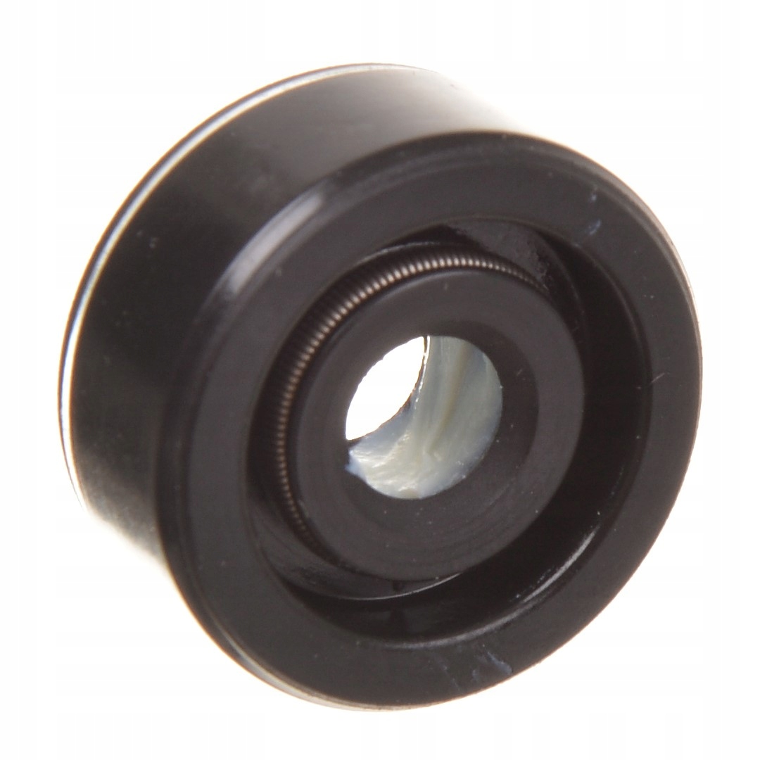 

Uszczelniacz pompy paliwa Karcher Hds 895 1295 695