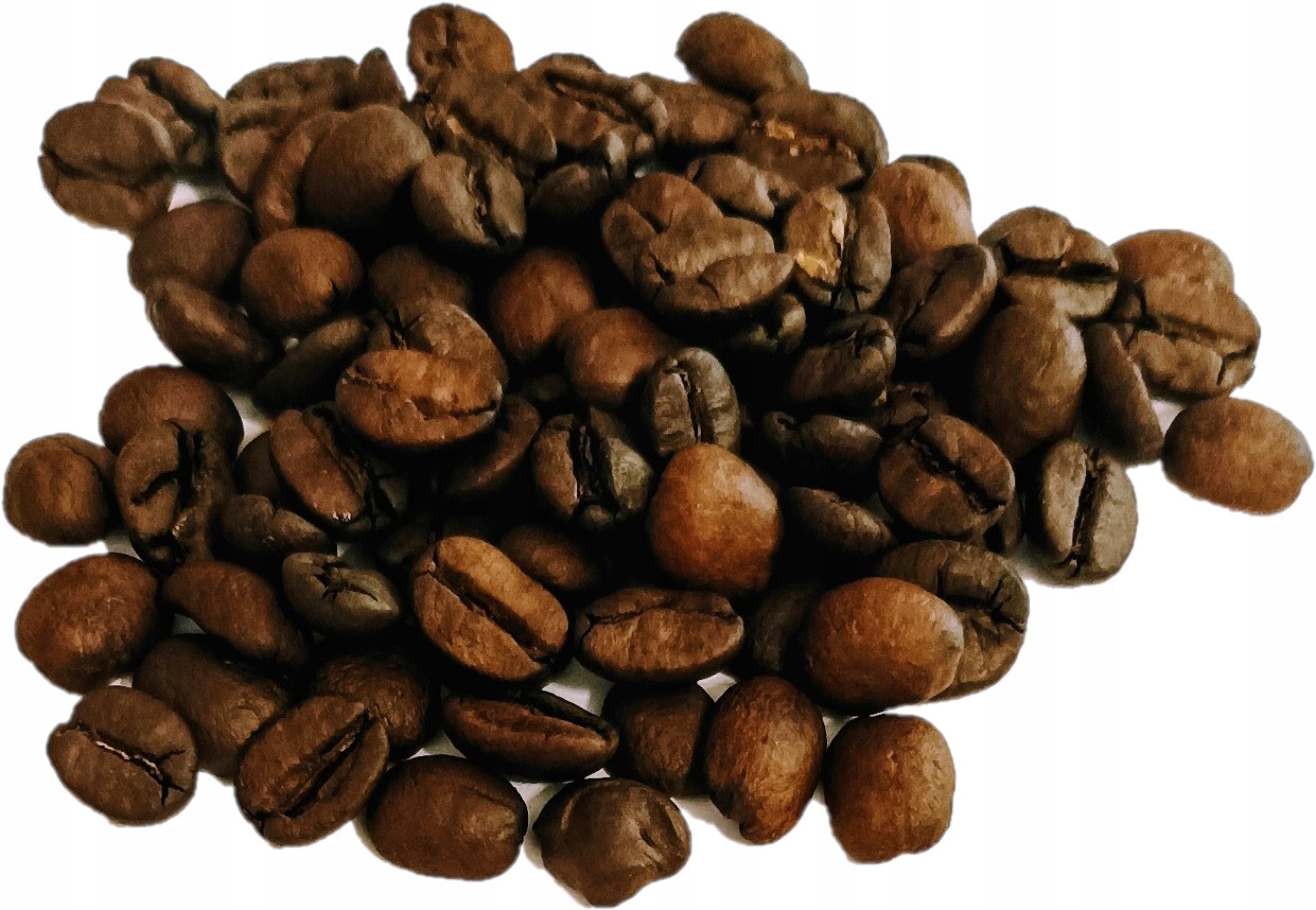 Levně Norte Sur Coffee, 100% arabica směs Mexiko Brazílie