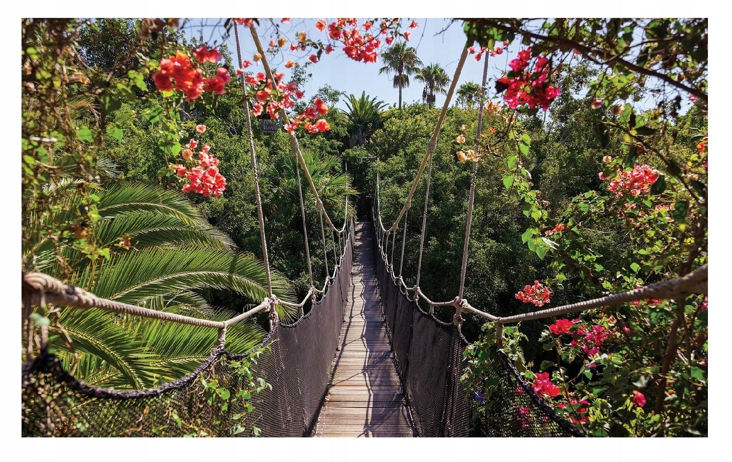 Fototapeta 3D Džungľa Most Príroda Do Spálne Tapeta Na Vlies 368x254