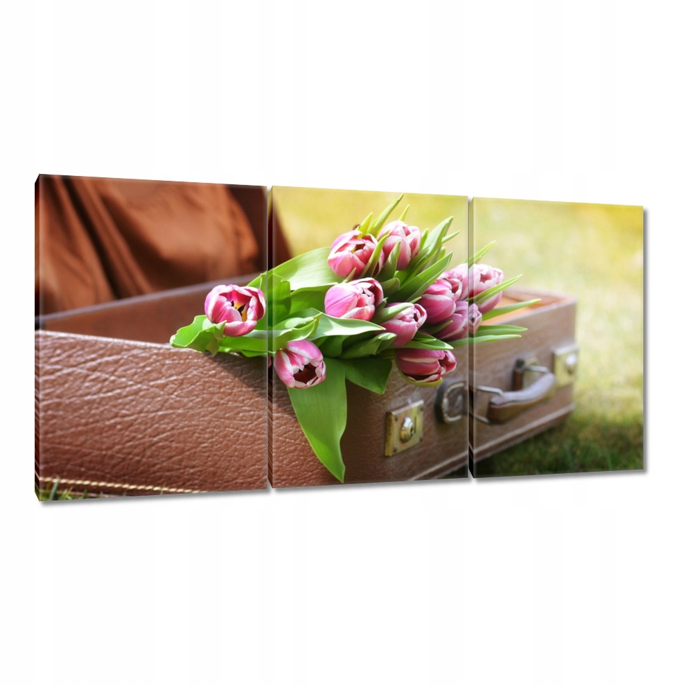 

Obrazy 120x60 Miłosna walizka