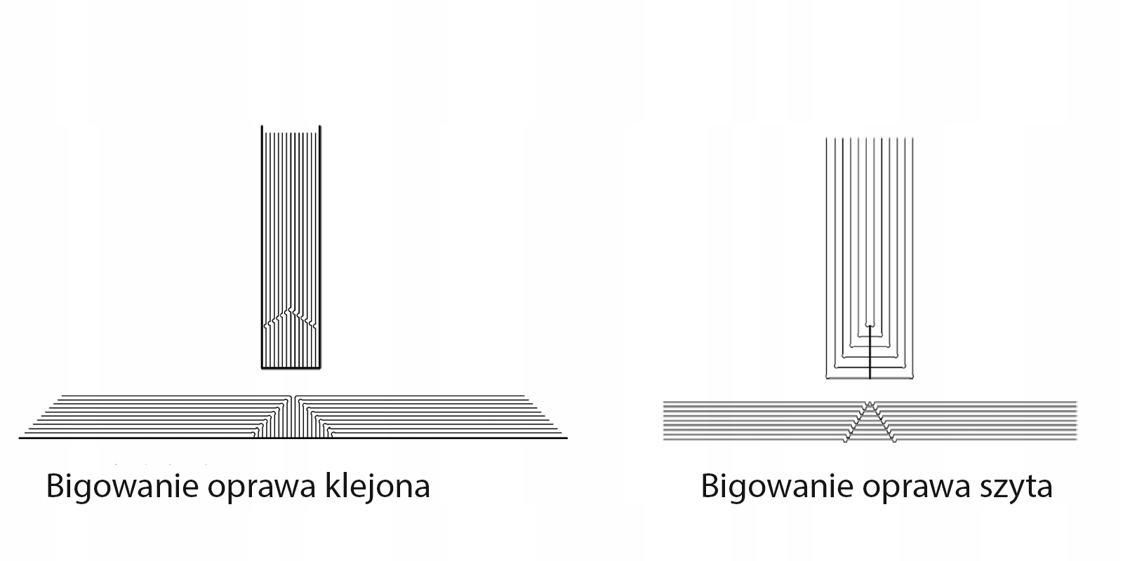 Bigówka automatyczna DCP 355 z perforacją Model DCP 355