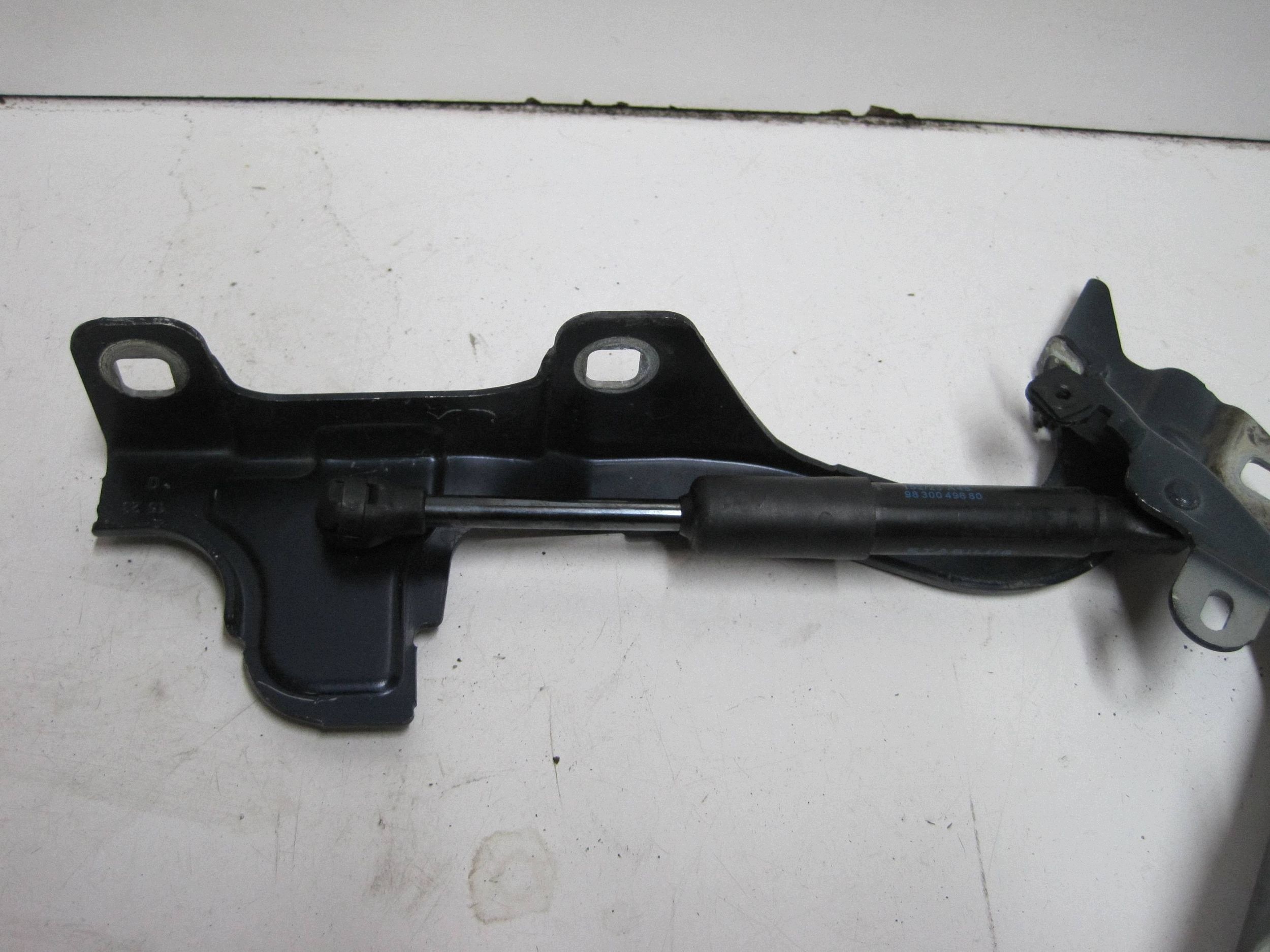 cerniere cofano CITROEN DS7 CROSSBACK 9829653580