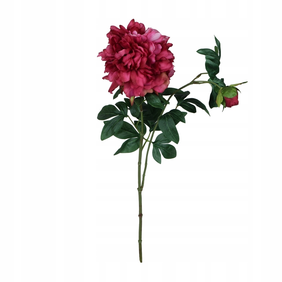 

Peonia fuksja gałązka 70cm do wazonu sztuczna