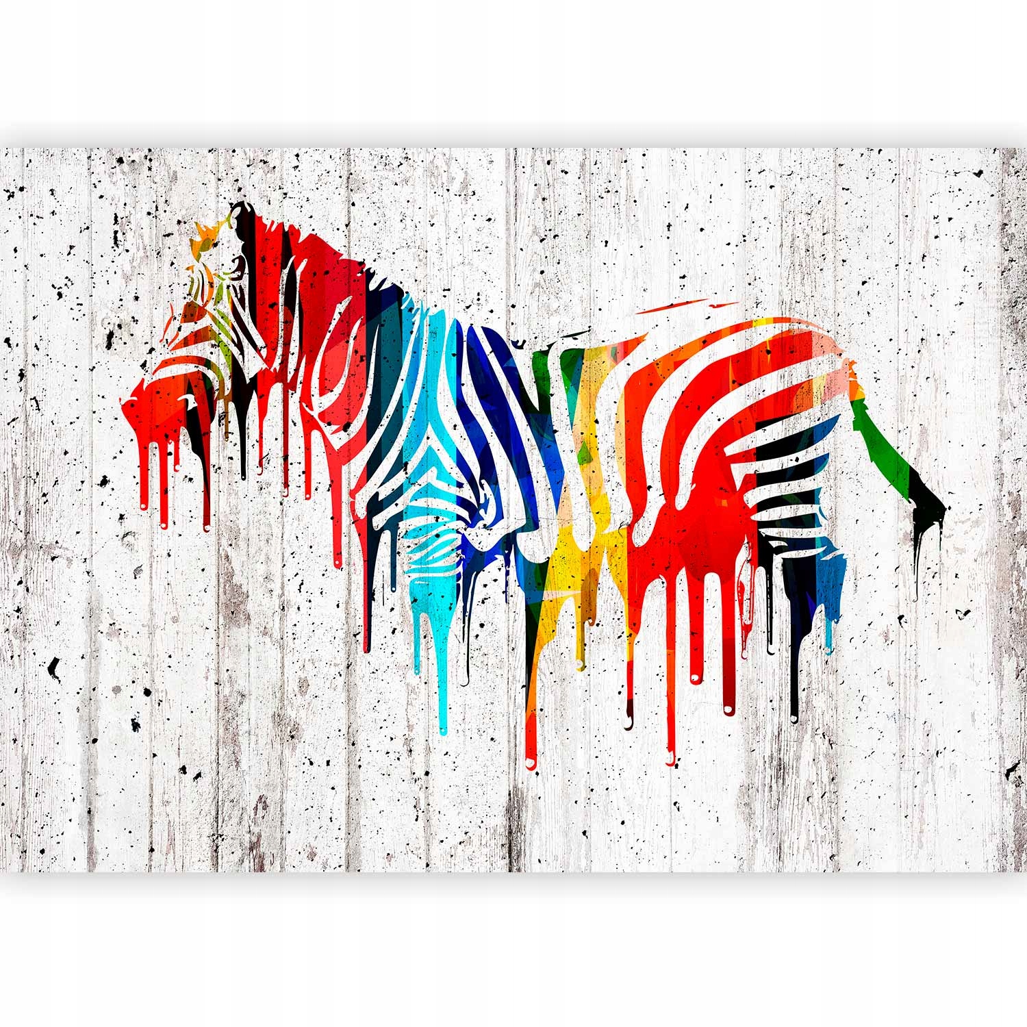 Fototapeta Premium Zebra Barevná Pro Chlapce Tapeta Na Zeď 200x140