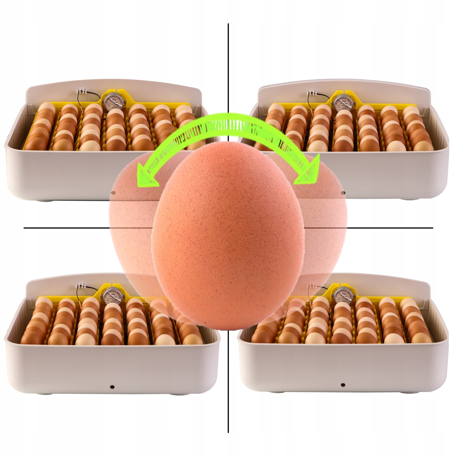 WYLĘGARNIA JAJ AUTOMATYCZNA OBRACANIE TERMOSTAT Nazwa handlowa INKUBATOR EW-56S