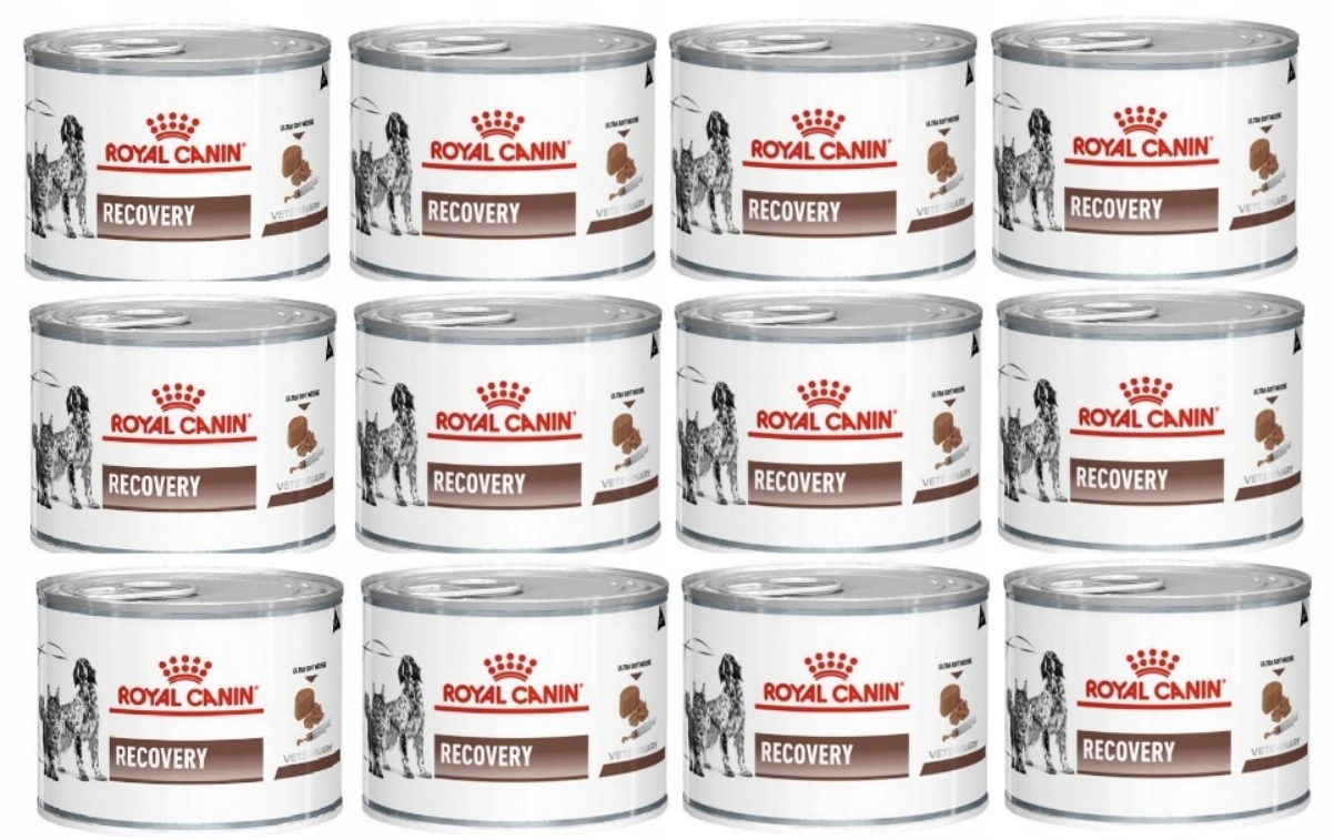 Royal Canin Recovery Dog/Cat 12x195 g puszka