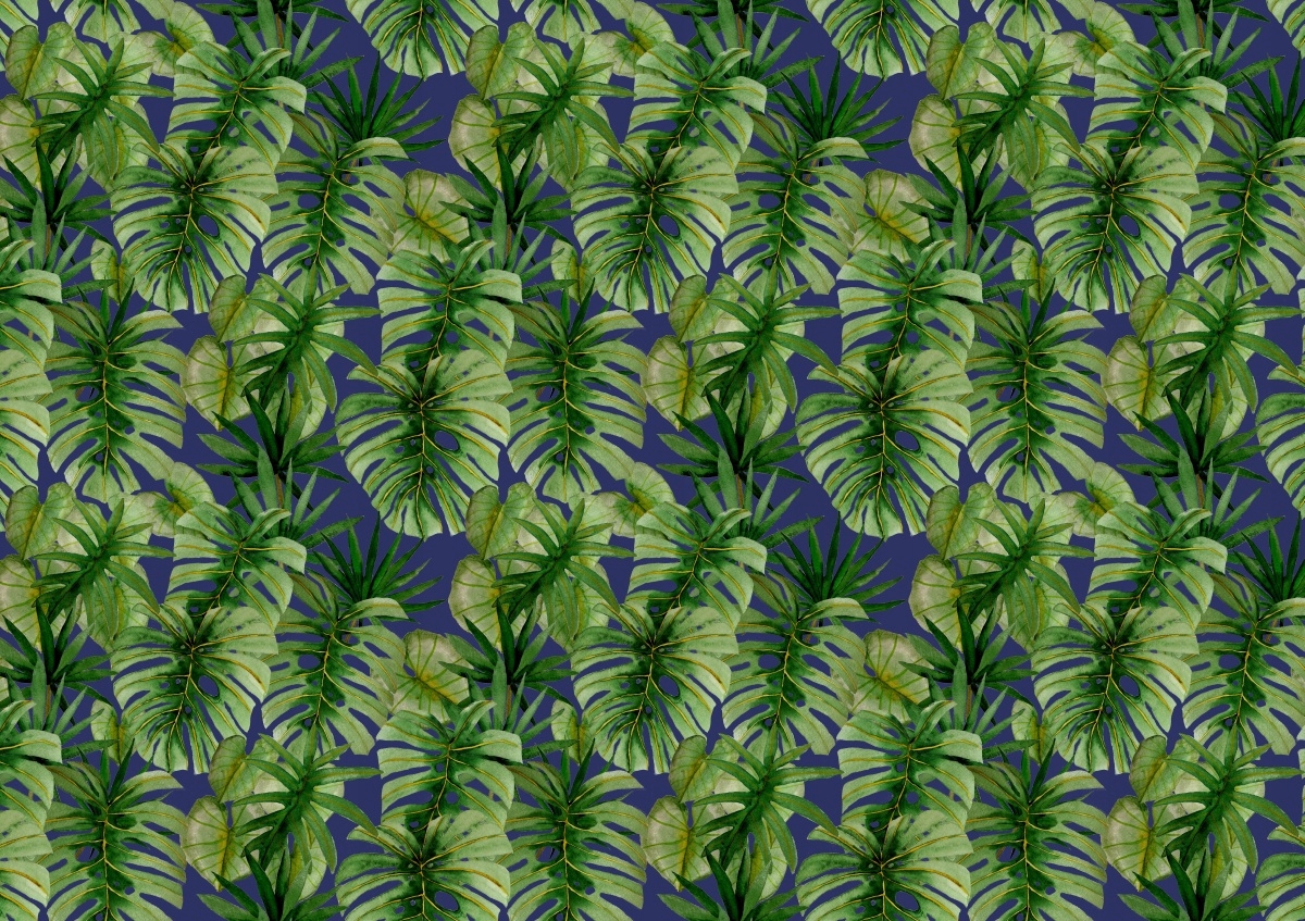 

Tapeta Flizelinowa Tropikalna monstera 208x146