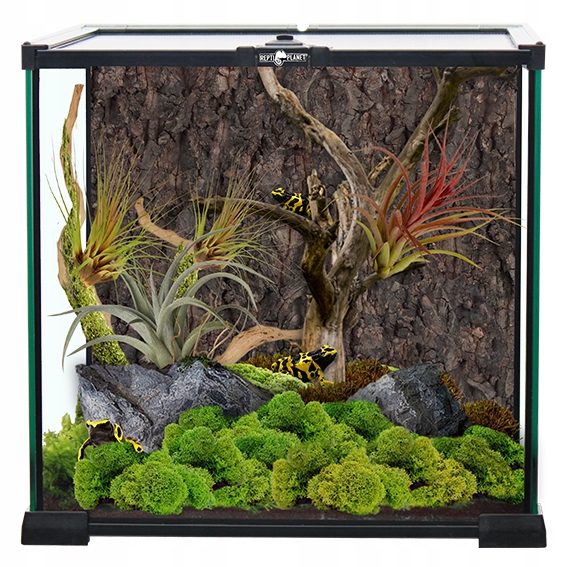 Repti Planet Terrarium szklane wentylowane od góry 30x30x30cm