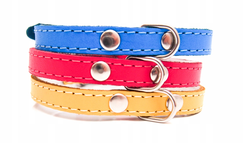 

Dino Obroża Dla Psa Skórzana Skóra 10MM/27CM