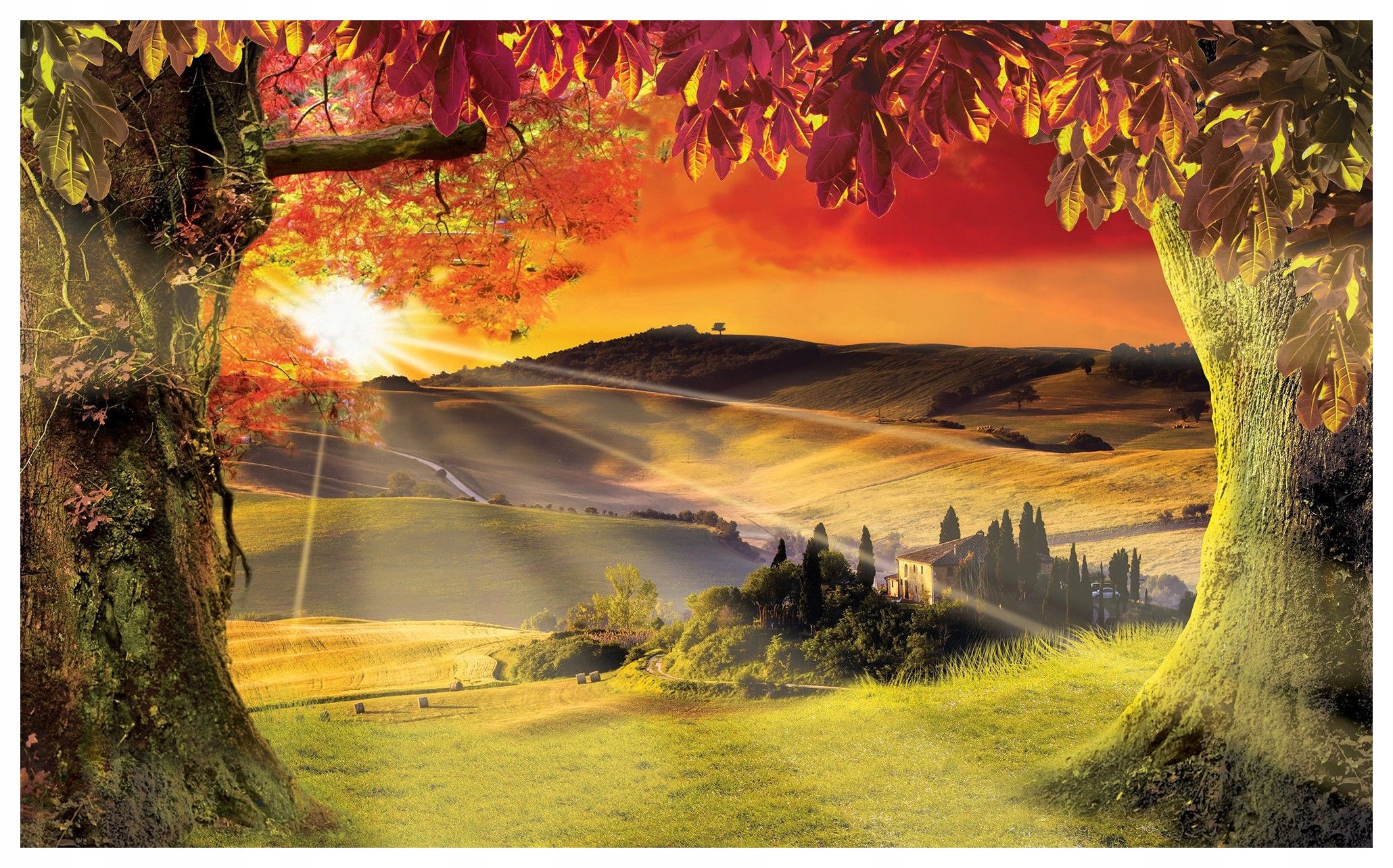 Fototapeta Toskánsko krajina zlaté kopce a západy slnka 416x254 lepidlo