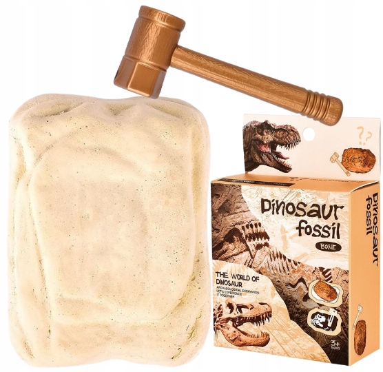 

Dinozaur Wykopaliska Skamielina Szkielet Młotek
