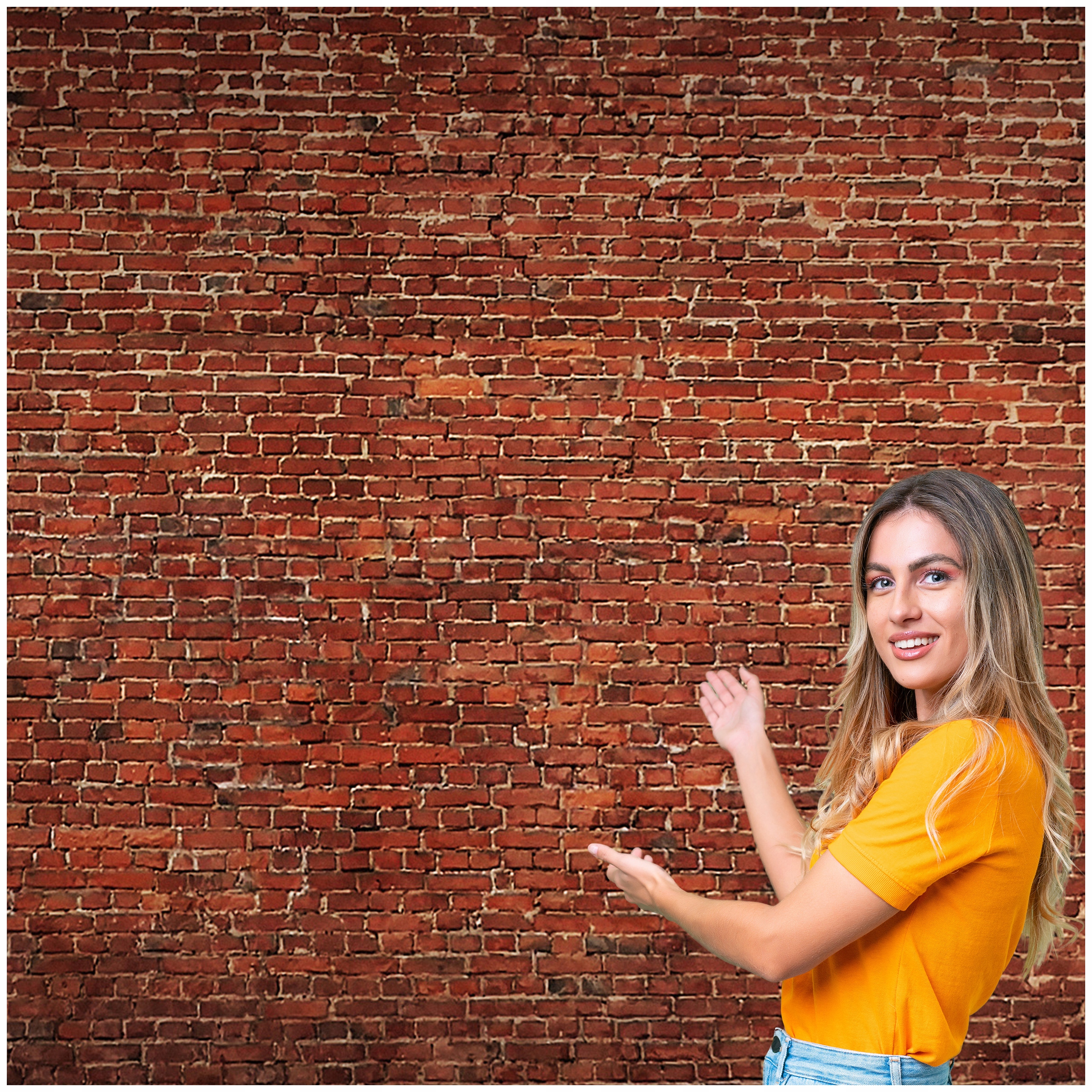 Fototapeta 3D Pozadí Textura Cihlová zeď 588x280 TLA29W