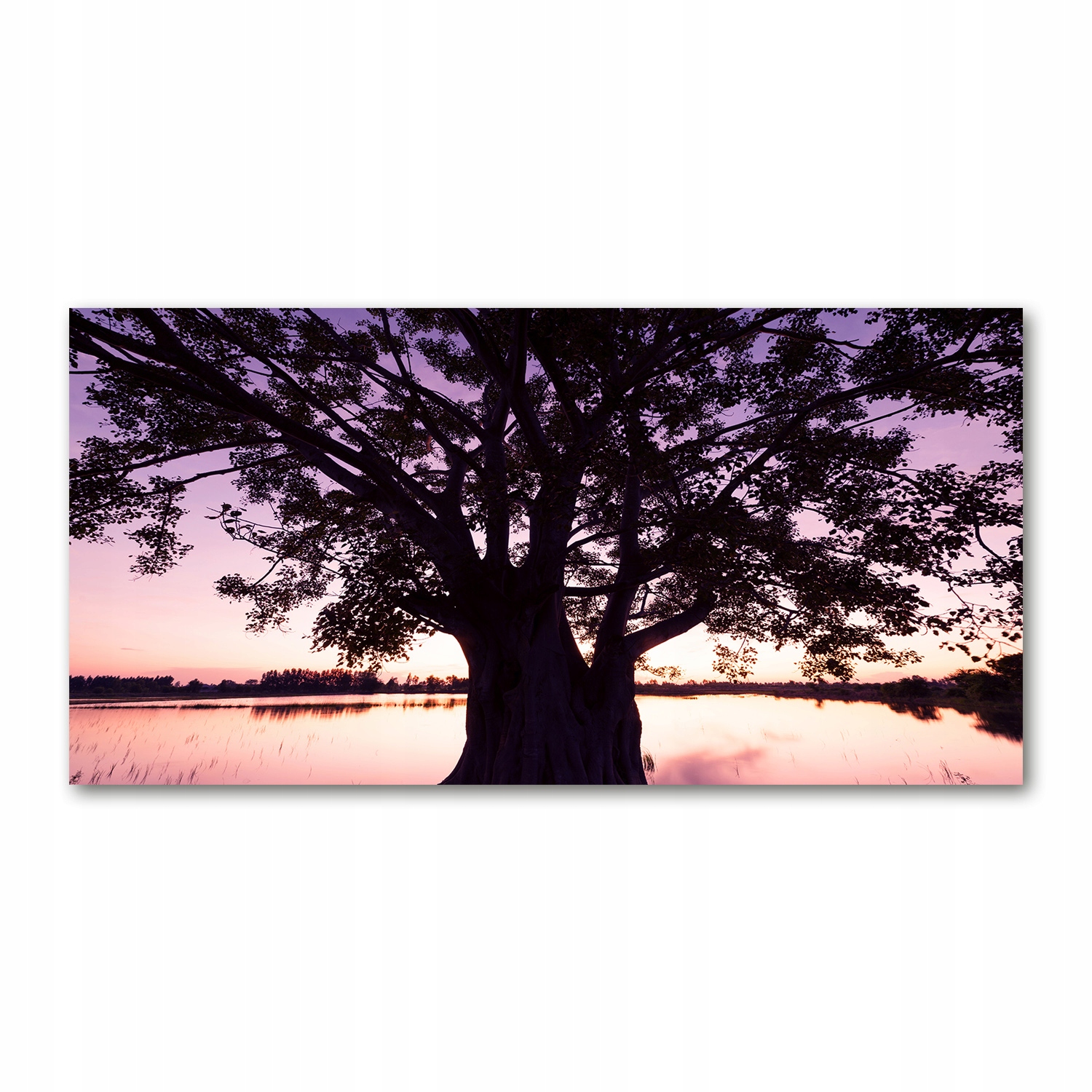 

Foto obraz duży akrylowy Drzewo i jezioro 140x70cm