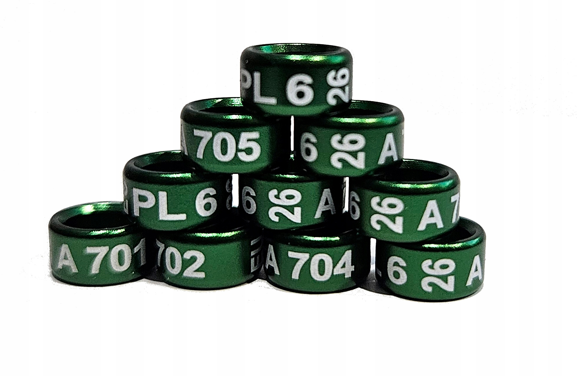 Obrączki dla Rozelli 6 mm 2026 r.