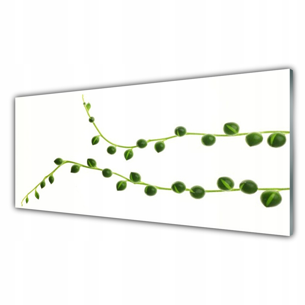 

Obraz akrylowy z nadrukiem 125x50 Ozdobna Roślina