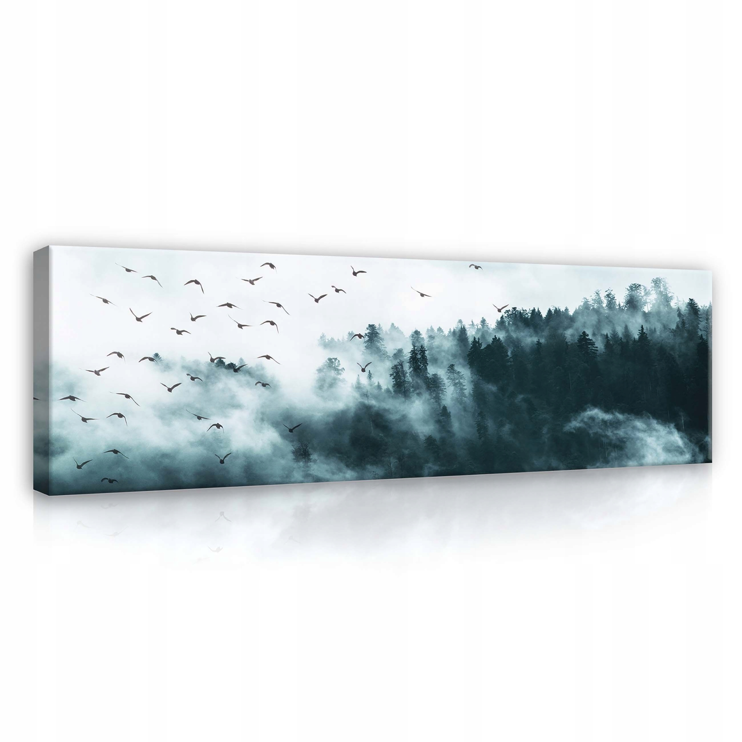Obraz 145x45 Mlha les stromy ptáci klid mystika příroda ticho