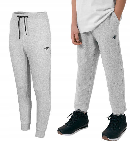 

Spodnie Chłopięce 4F Dresowe Sportowe Dresy 158