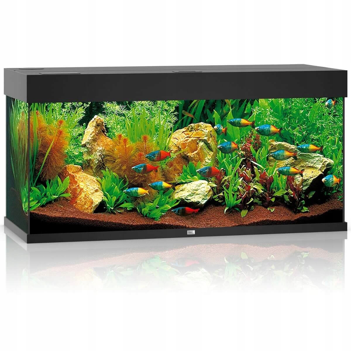 Juwel Rio 180 Led Akwarium Zestaw Wyposażenie