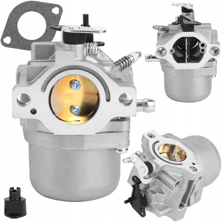Karburátor Pro Briggs & Stratton 12 hp 799728 495706