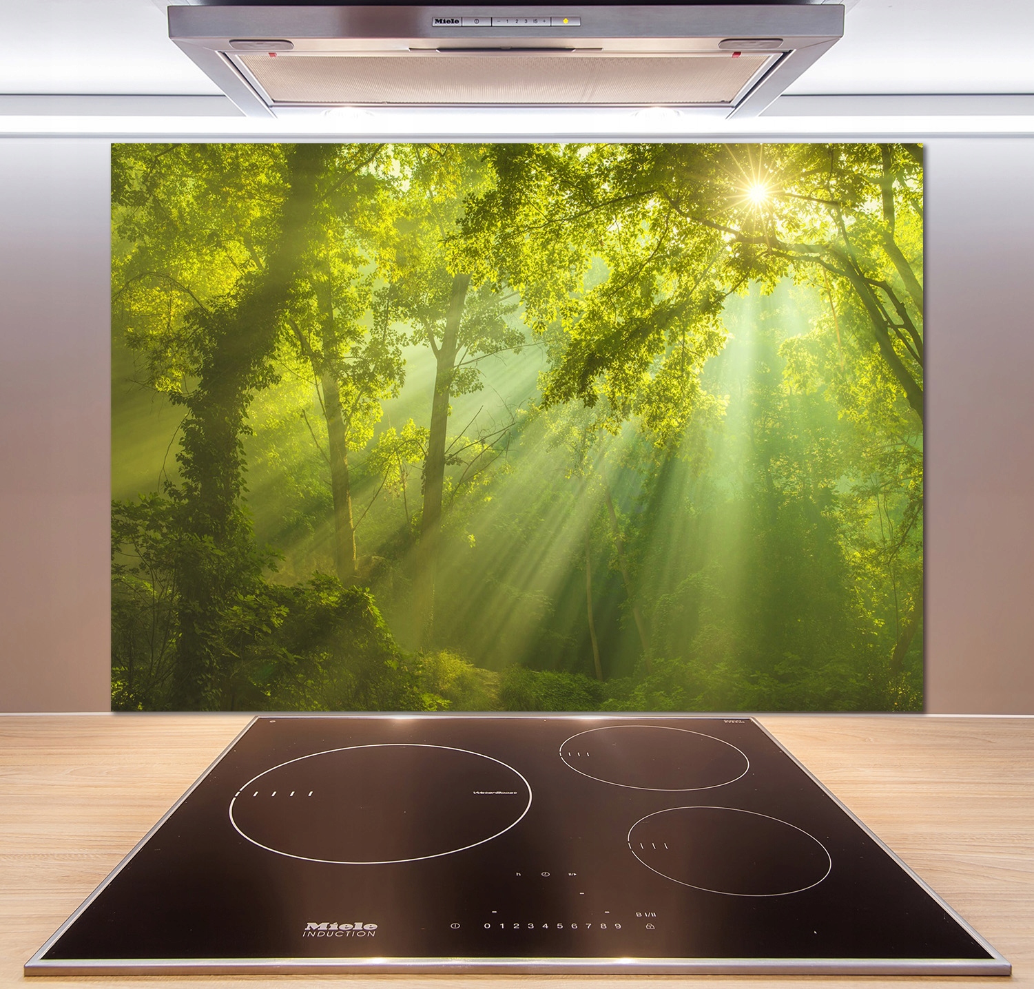 

Panel dekor szkło Las w słońcu 100x70 cm + Klej