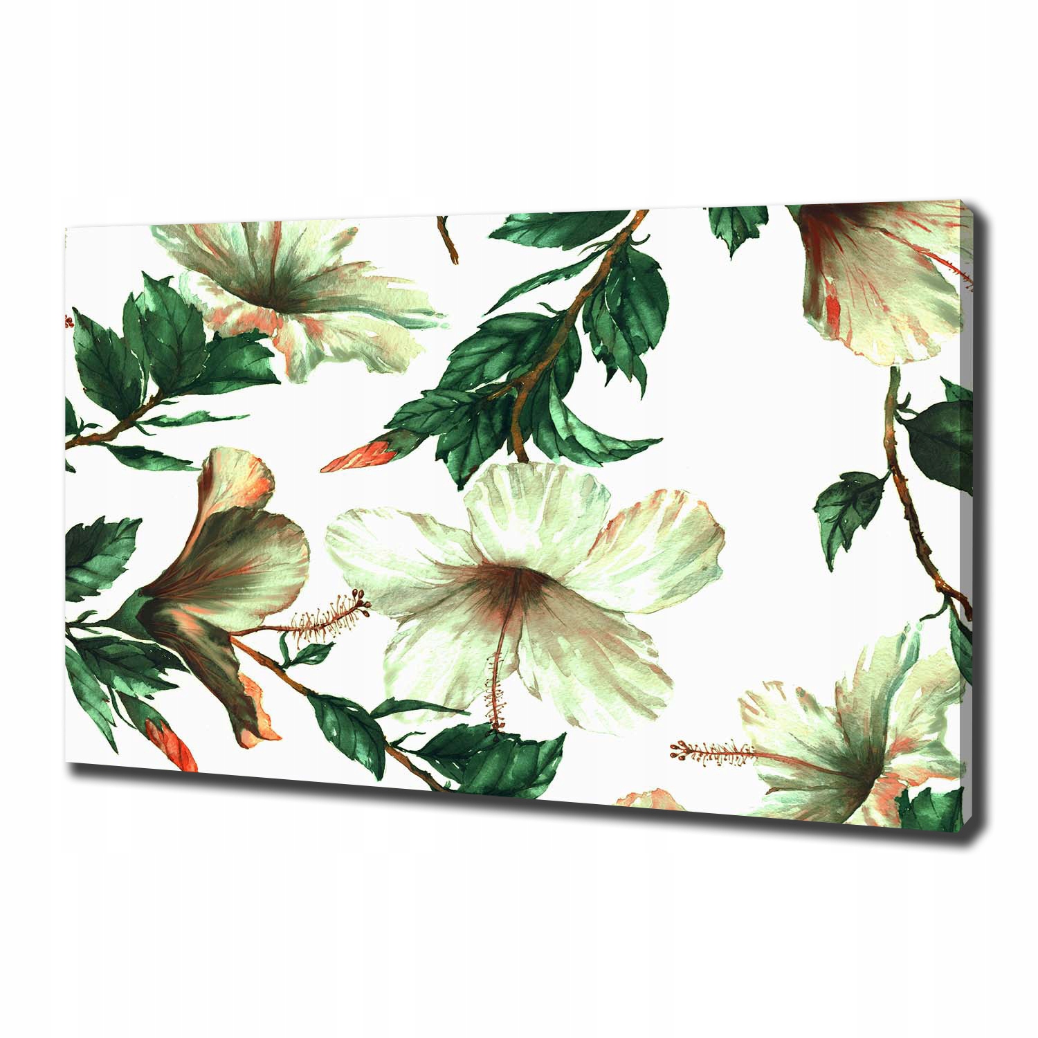 

Foto obraz na płótnie Kwiaty hibiskusa 100x70 cm