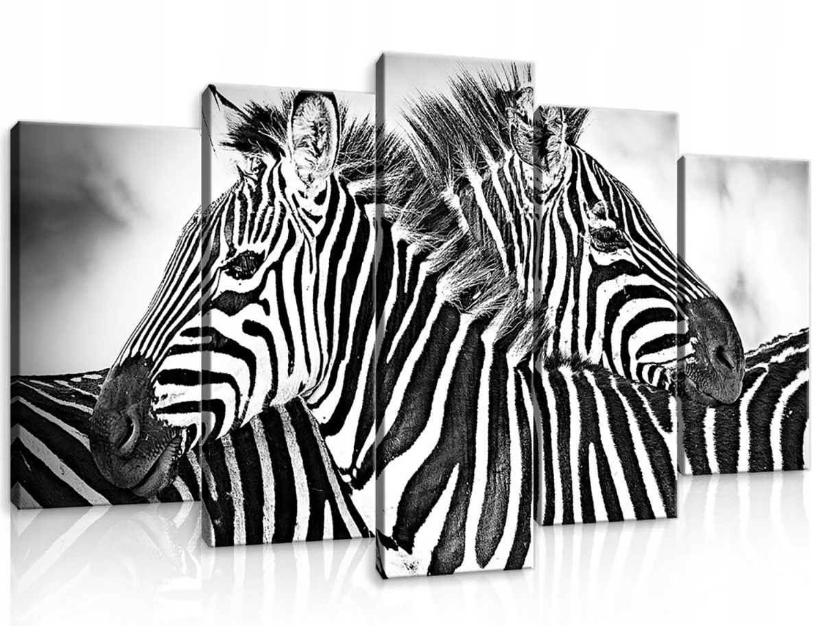 Obraz Na Plátně Canvas 100x60 Zebra Zebry B&w