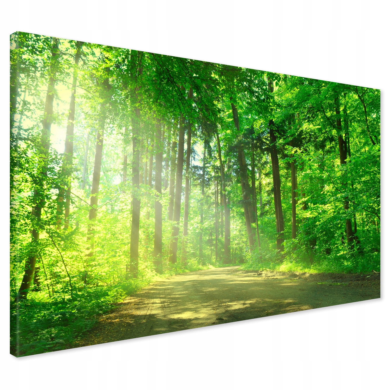 

Obraz na płótnie las drzewa droga 120x80