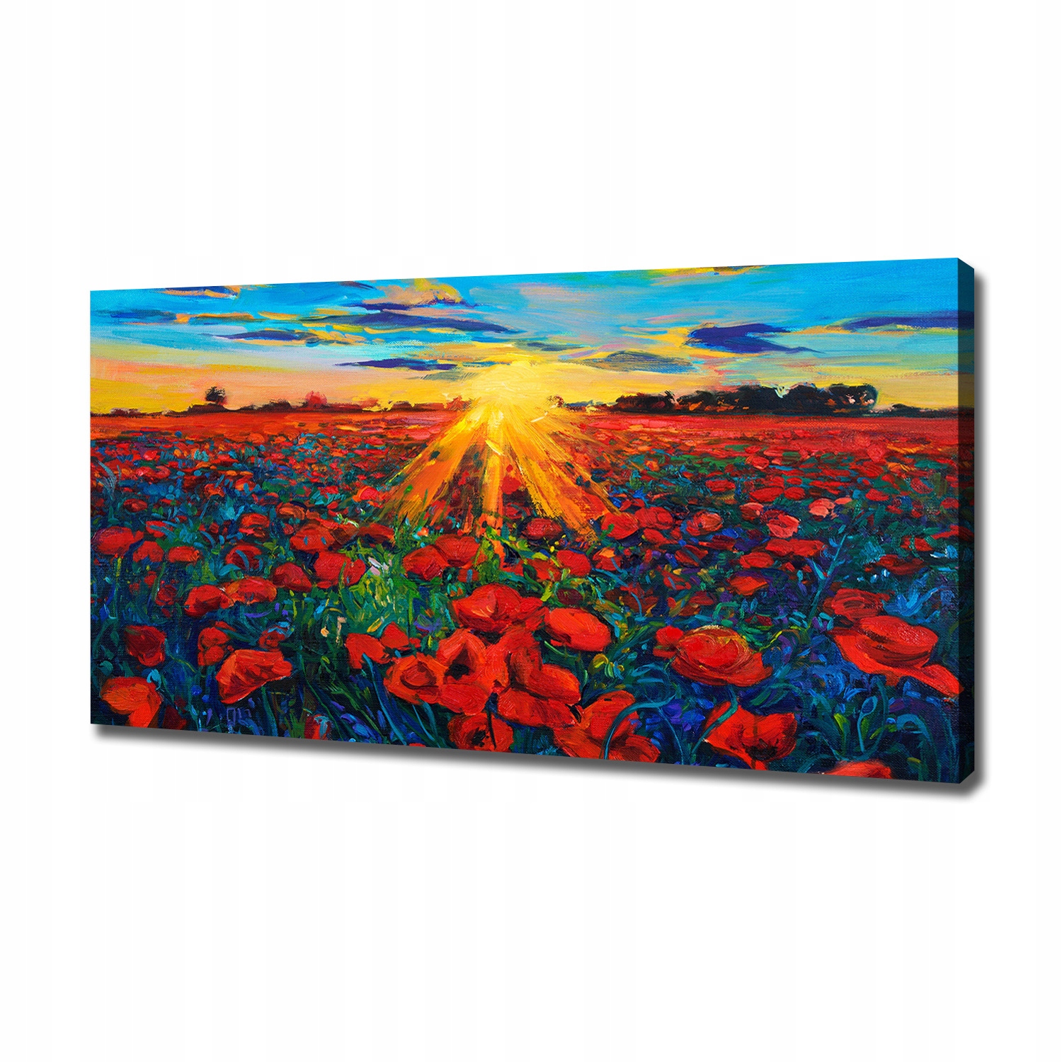 Fotoobraz canvas na zeď Pole máků 120x60 cm
