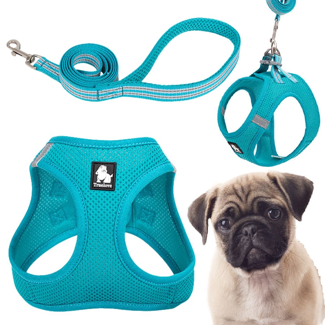Levně Postroj Vodítko Pro Malého Psa Kočky Lehké Truelove Mini Modré L Set