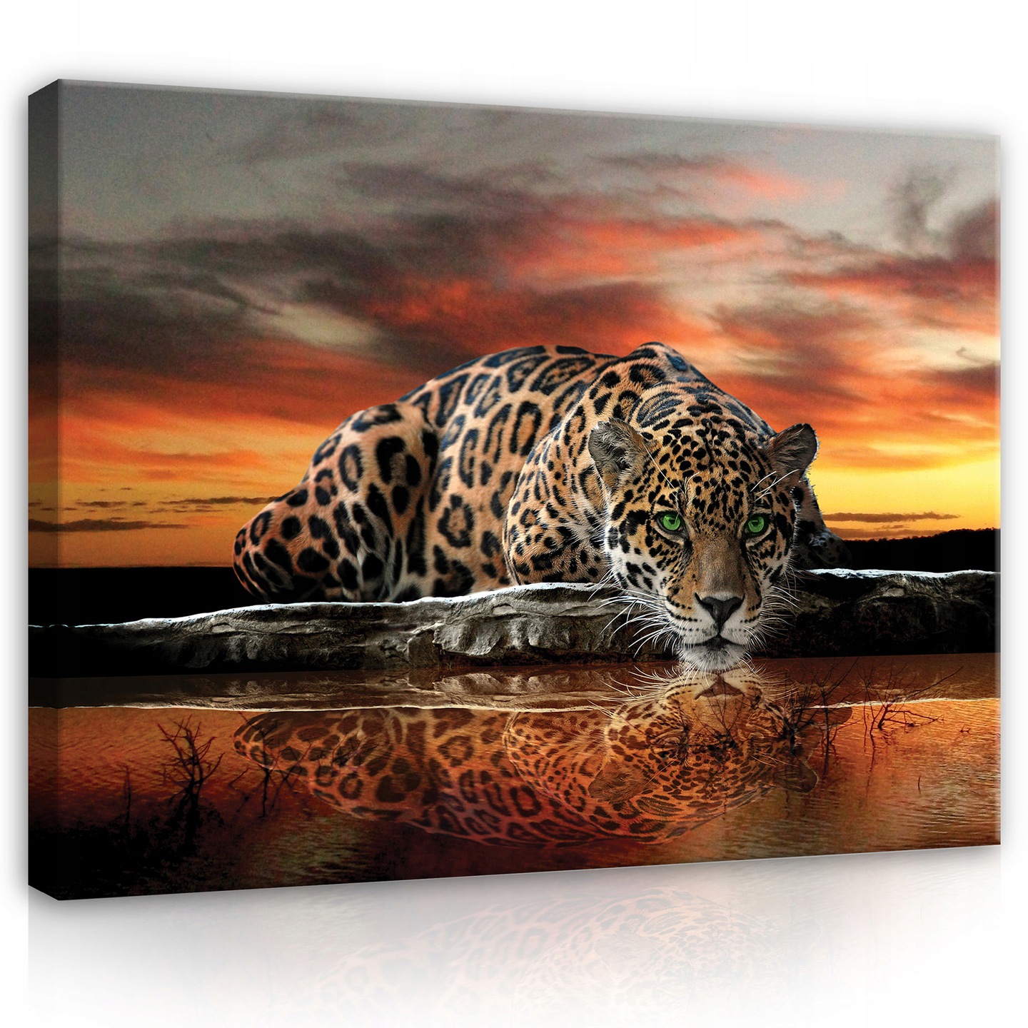 

Obraz na płótnie na ścianę Jaguar Tygrys 100x70