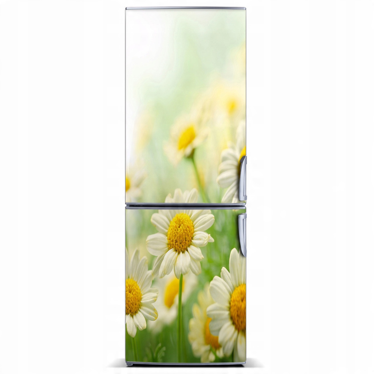 

Naklejka Magnes zdjęcie Magnes Stokrotki 60x180