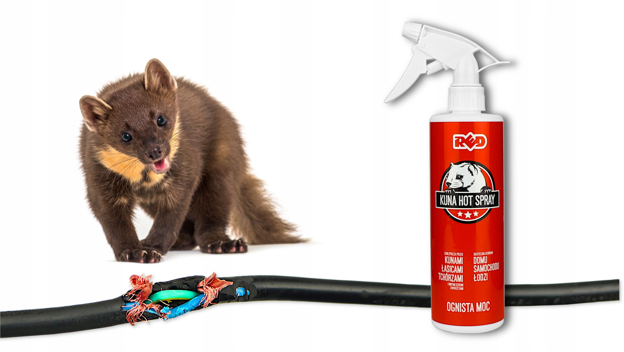 ŚRODEK NA KUNY LISY PSY GRYZONIE DO AUTA DOMU RED KUNA HOT SPRAY 450G Producent inny