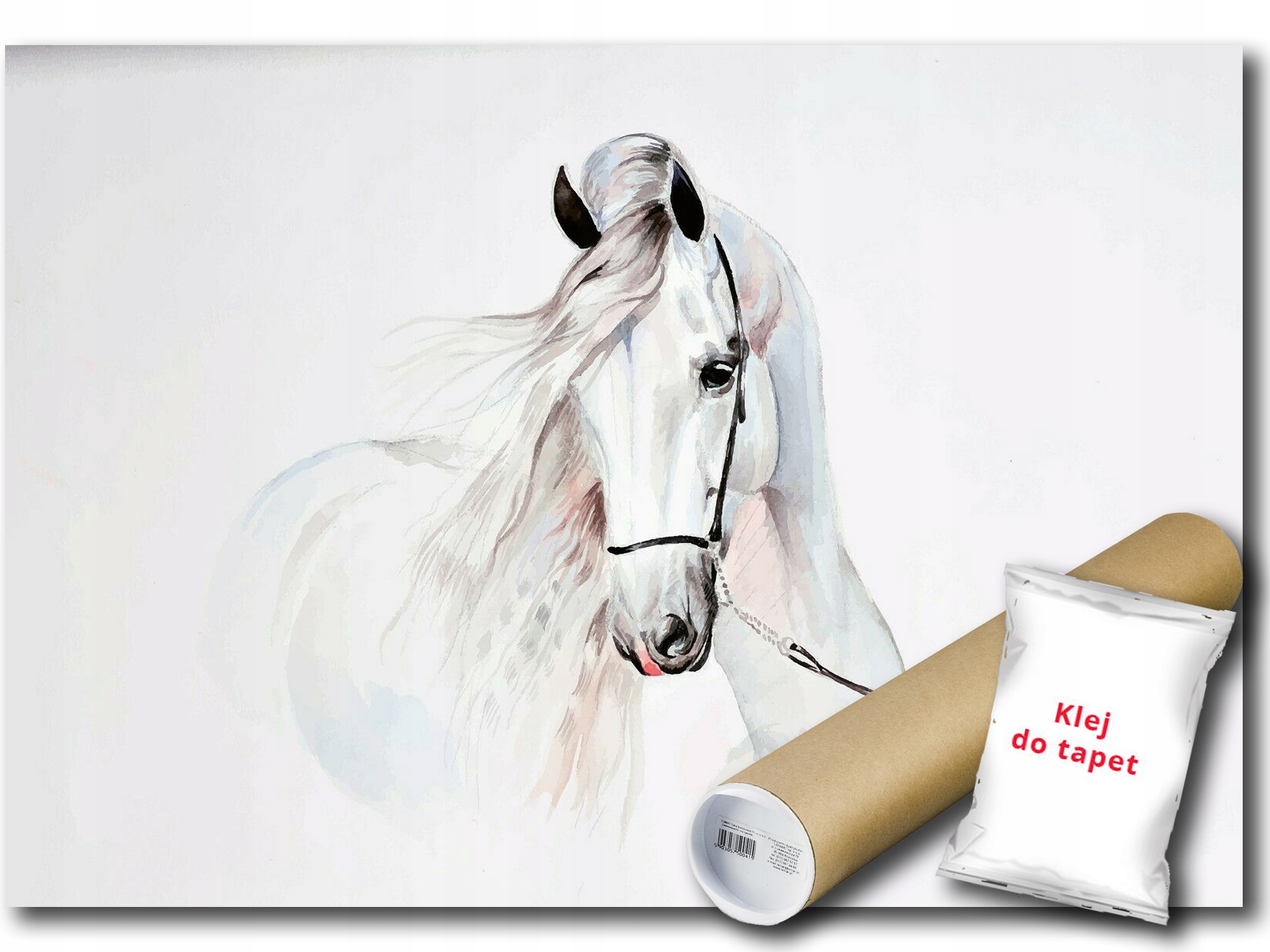 Vinylová Fototapeta Kůň Koník Rumak 208x146