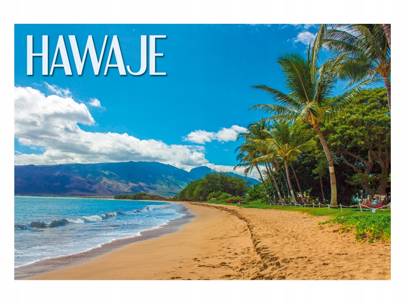 

Hawaje Plaża Palmy Magnes na lodówkę