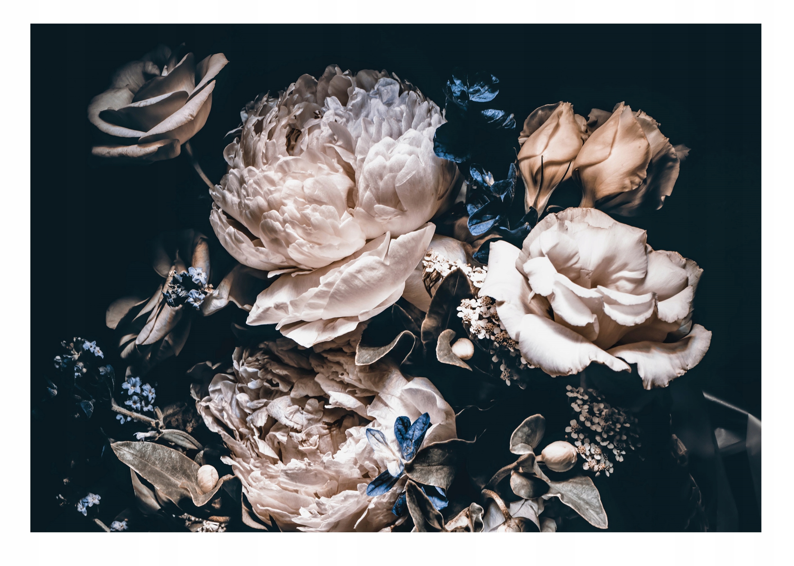 Fototapeta Květiny Pivoňky XXL do ložnice 368x254