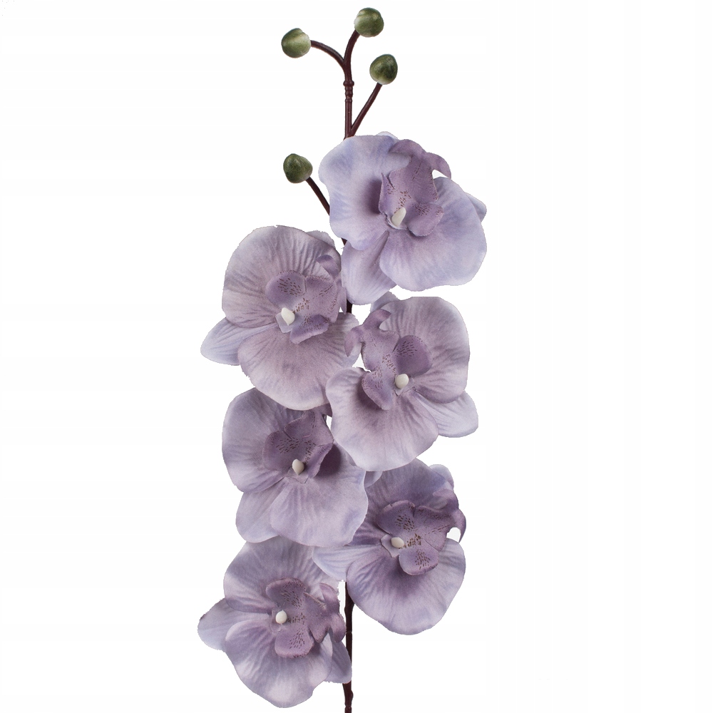 

Storczyk Gałązka Dekoracyjna Sztuczne Kwiaty F-11