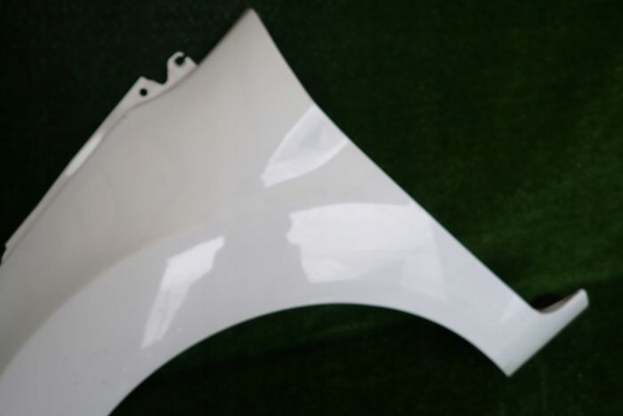 FORD FIESTA MK7 VII 08- fender left front front