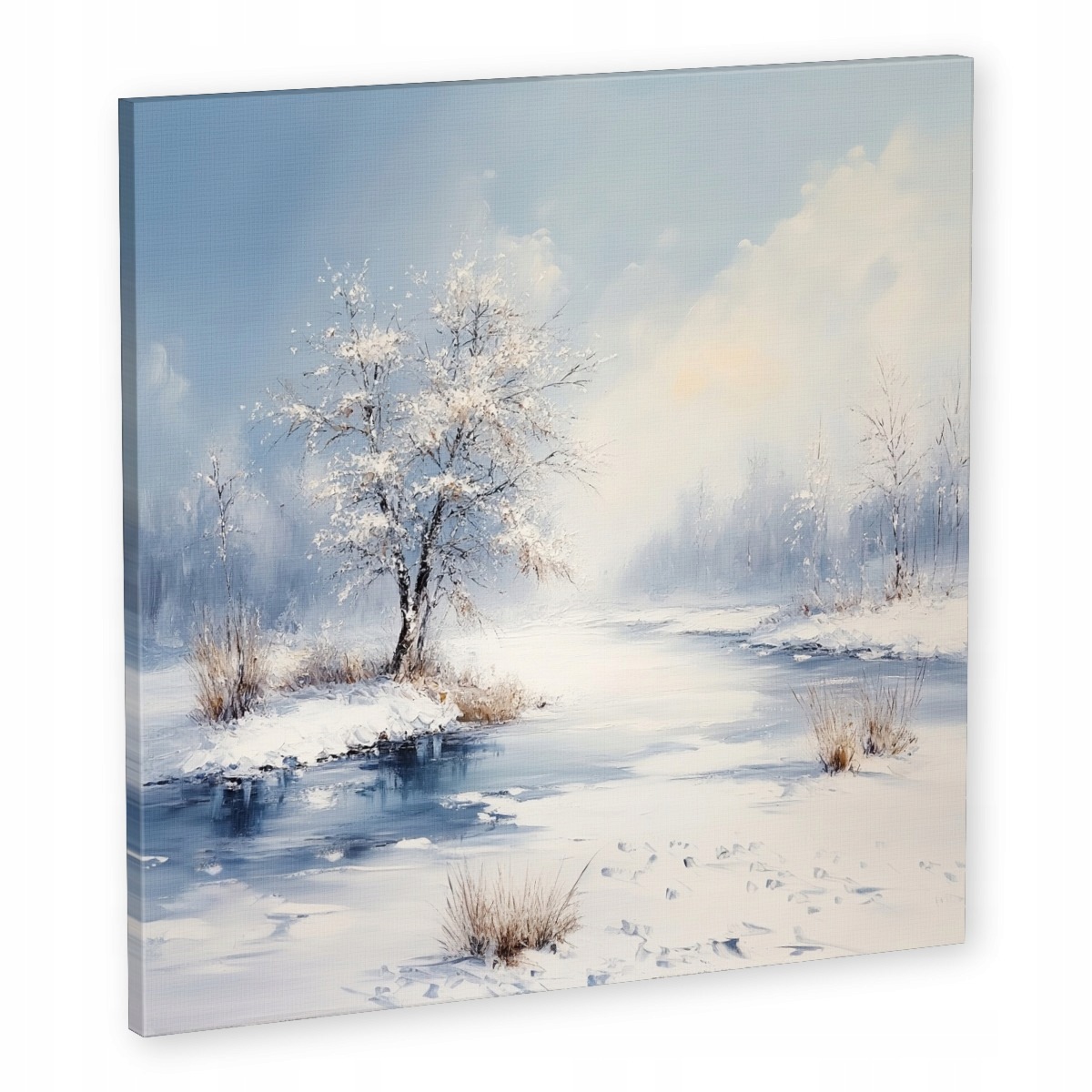 Obraz Na Plátně Canvas Krajina Strom Řeka Zima Sníh Led 60x60