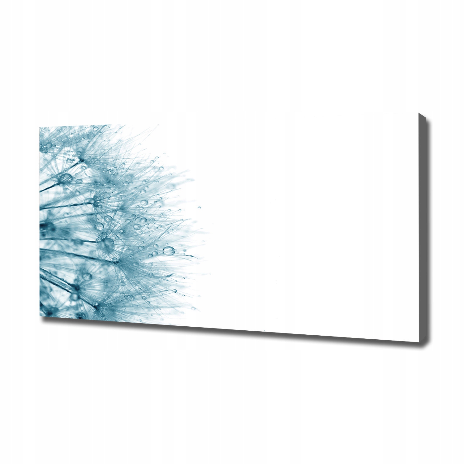 

Foto obraz canvas na ścianę Dmuchawiec 120x60 cm