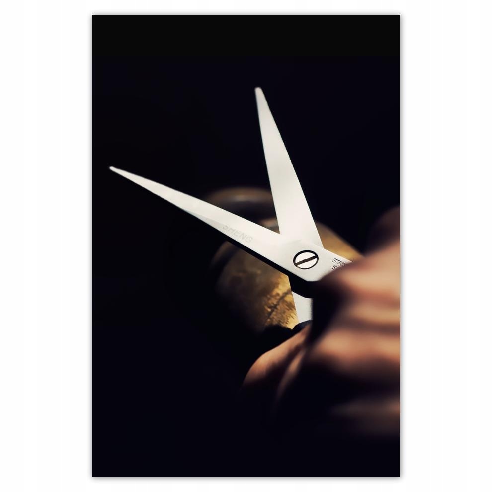 

Plakaty 40x60 Nożyczki fryzjerskie