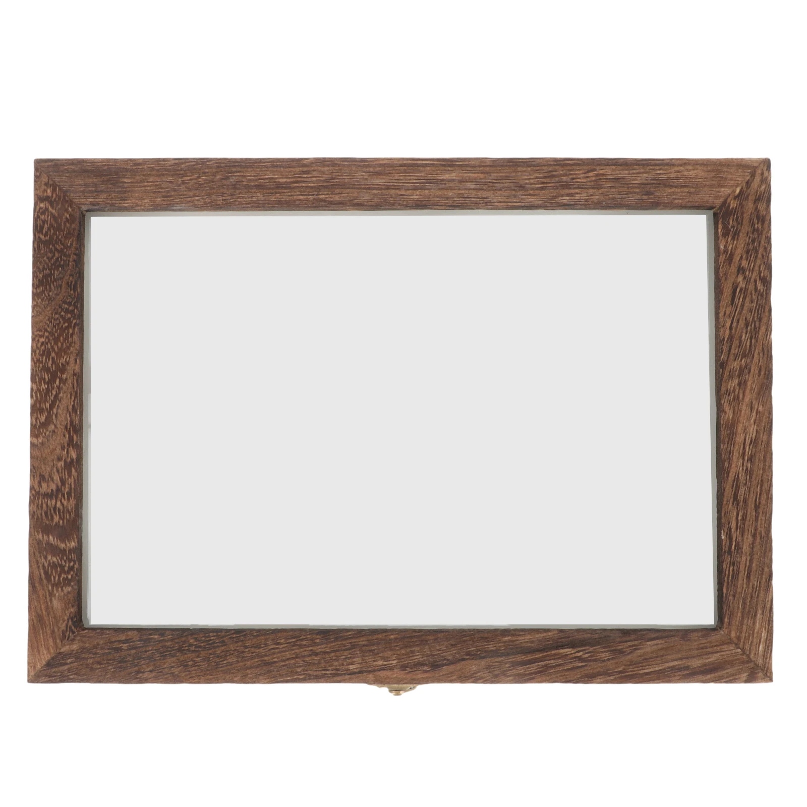 Pudełko na okazy owadów Gablota do terrarium Marka Mom's