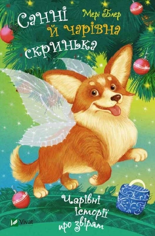 SUNNY AND THE MAGIC BOX W. UKRAIŃSKA, BLAIR MARY