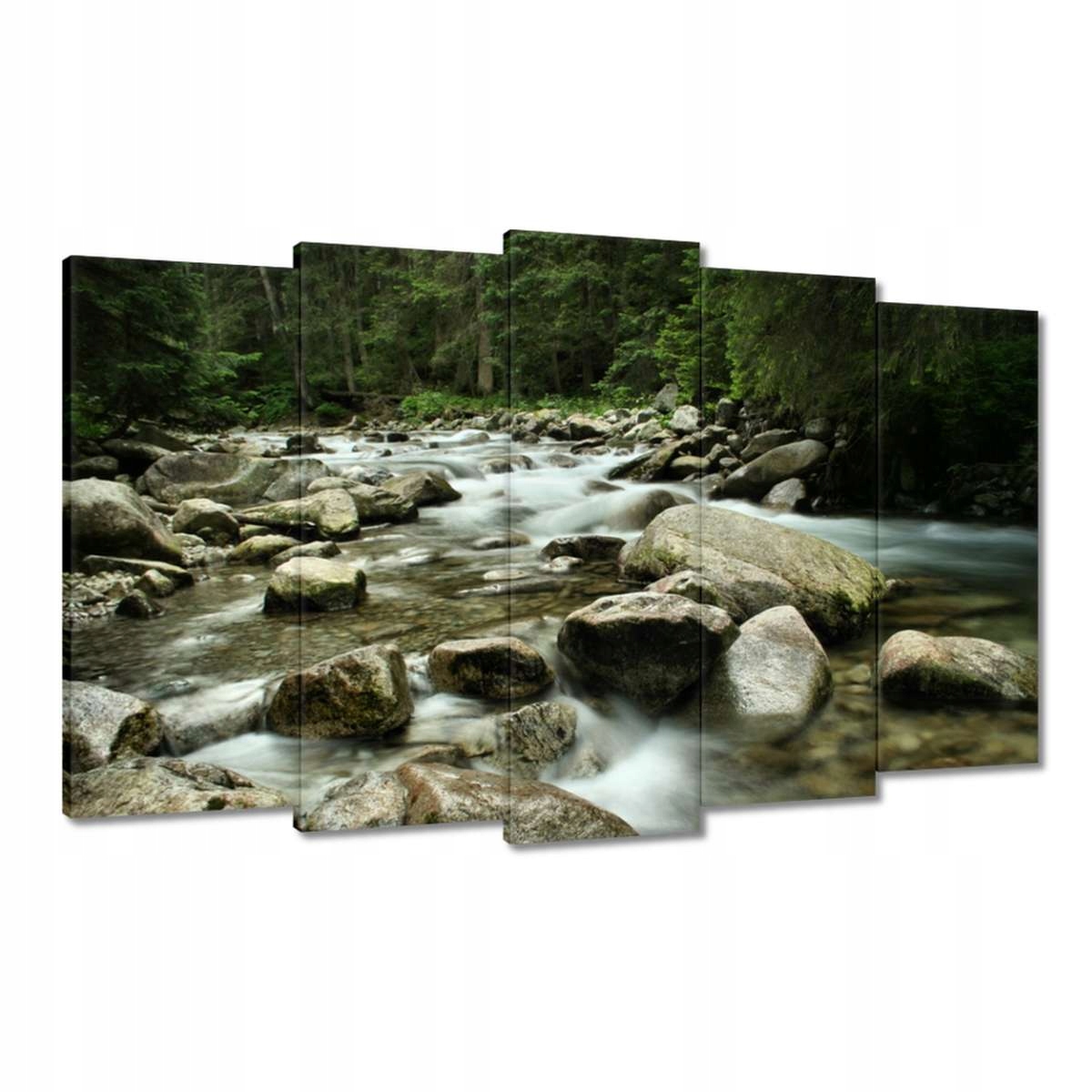 Obrazy 100x60 Tatry Polské hory Pohled