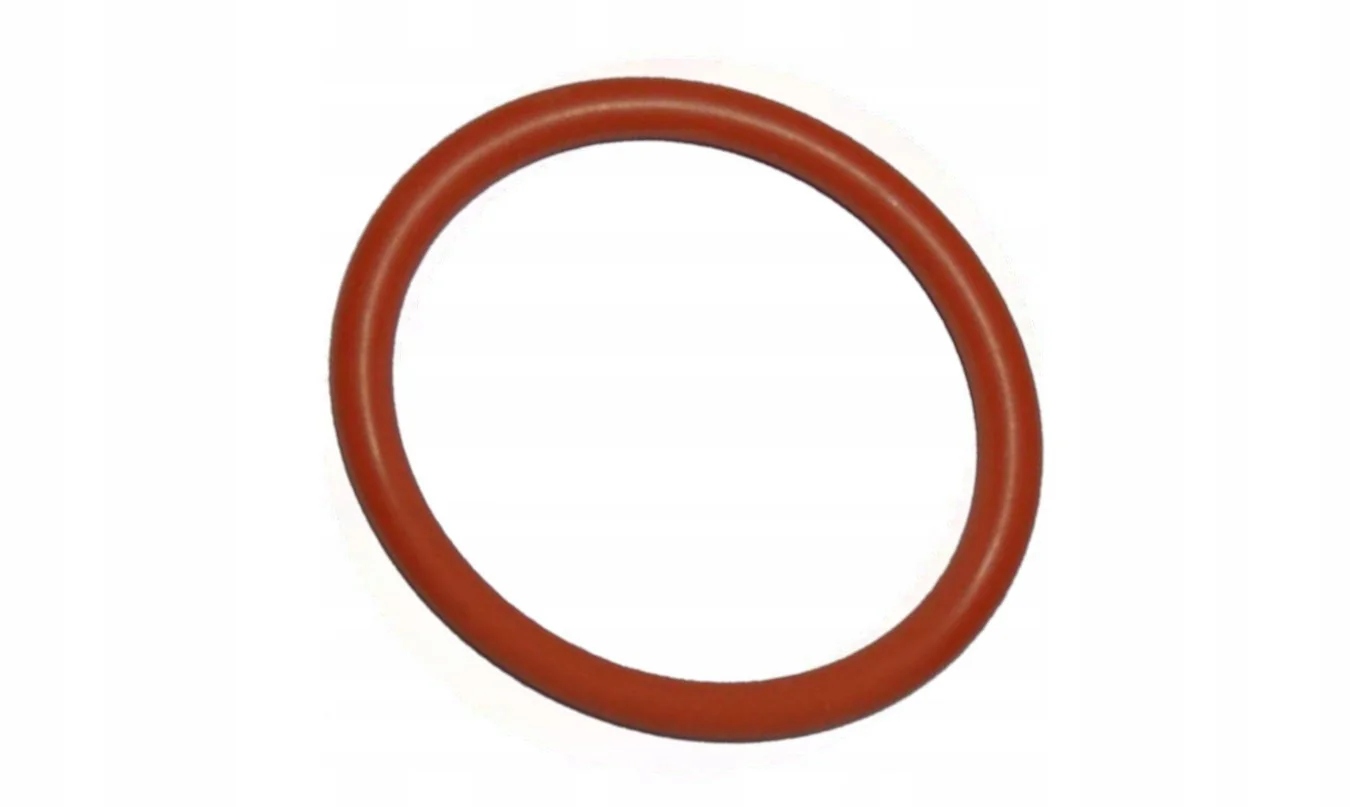 Saeco uszczelka zaparzacz 32x4